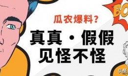 内娱免费吃瓜公众号推荐,揭秘娱乐圈幕后故事，带你畅游娱乐八卦海洋